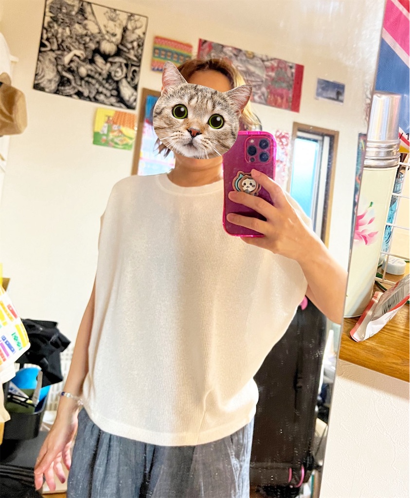 f:id:lisamori:20240602163633j:image