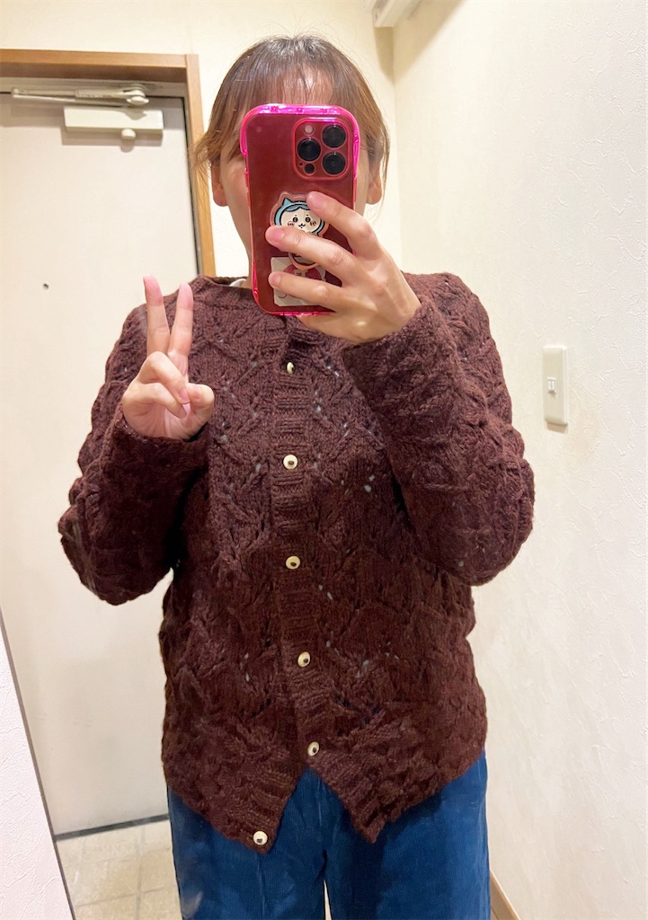 f:id:lisamori:20241110174423j:image