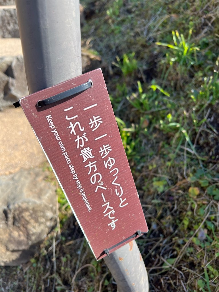 f:id:lisamori:20241203202154j:image