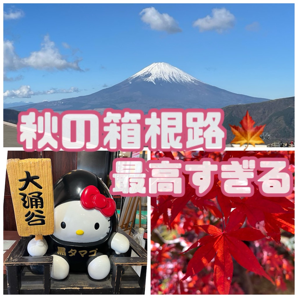f:id:lisamori:20241208171903j:image