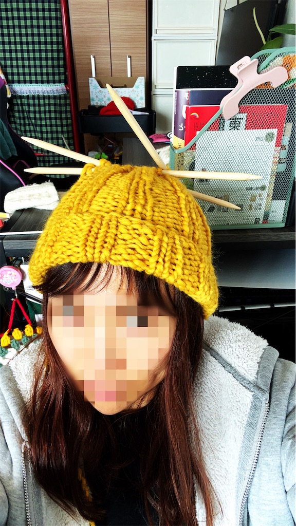 f:id:lisamori:20250217201202j:image