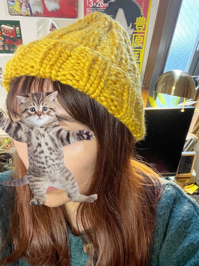 f:id:lisamori:20250217202555j:image