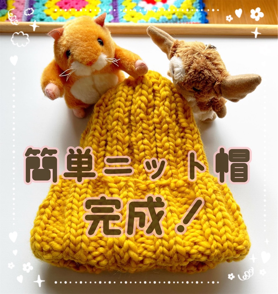 f:id:lisamori:20250217204252j:image
