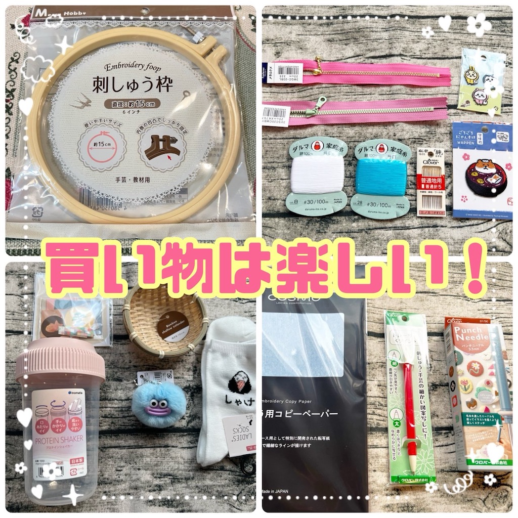 f:id:lisamori:20250303213355j:image