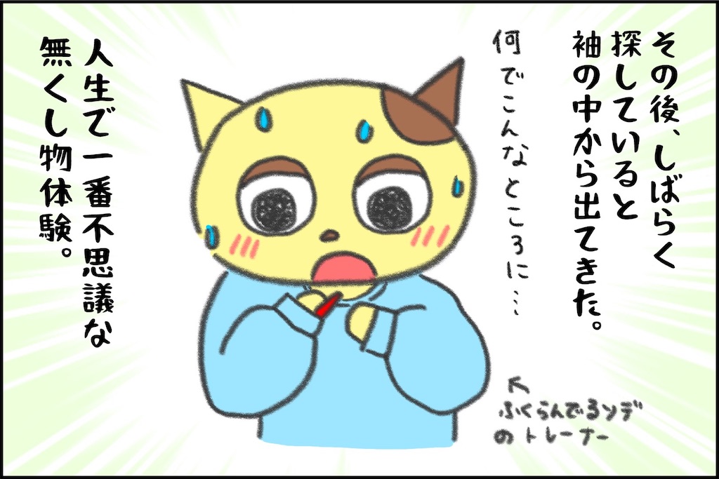 f:id:lisamori:20250506163819j:image