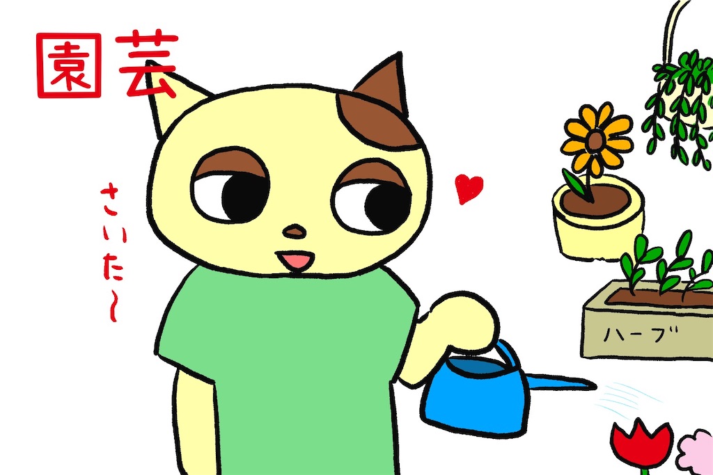f:id:lisamori:20250527175527j:image
