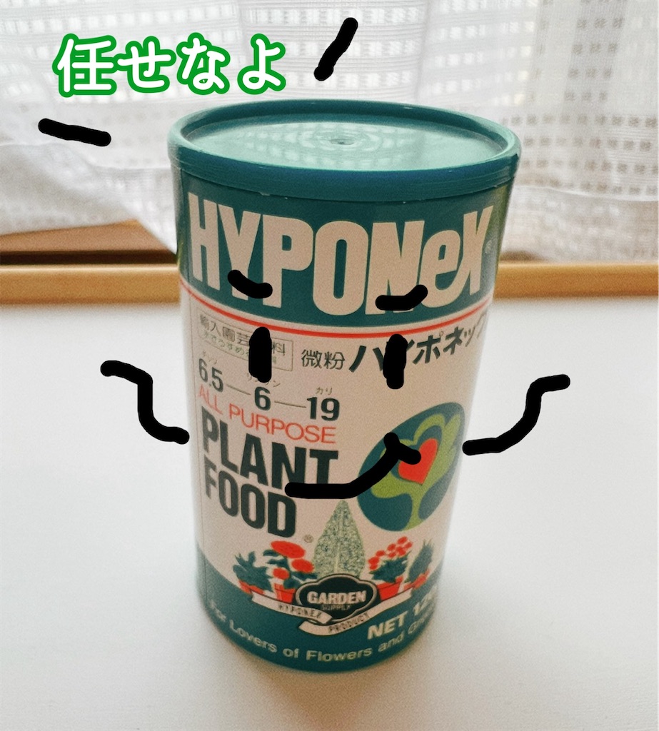 f:id:lisamori:20250529090945j:image