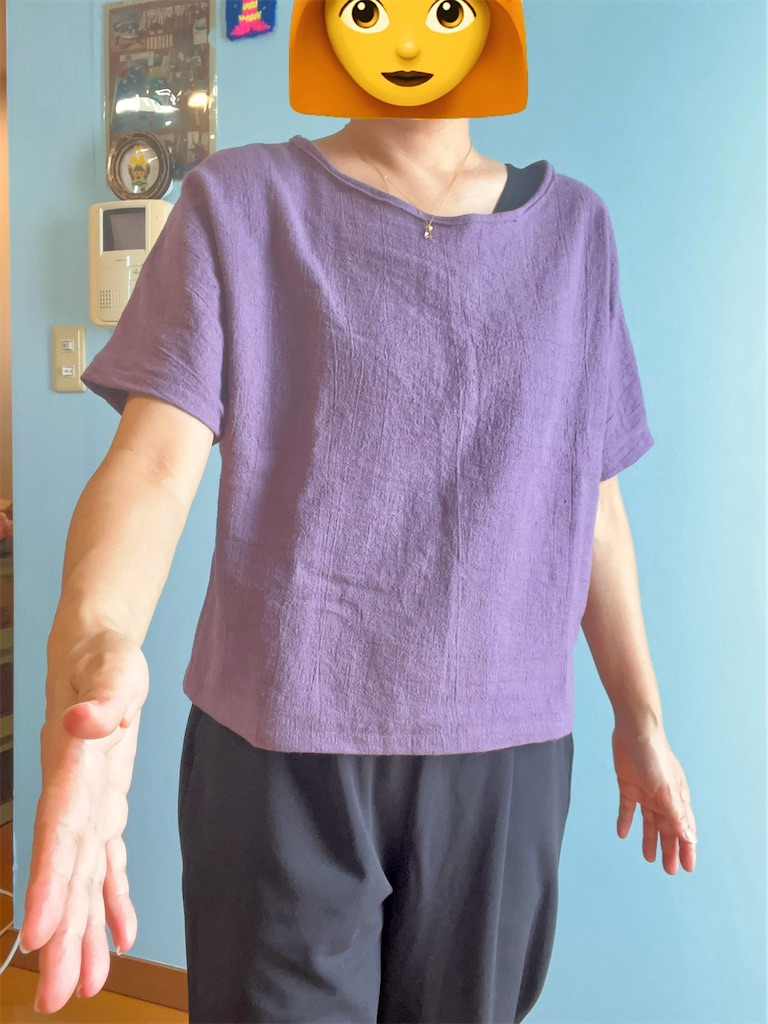 f:id:lisamori:20250902175938j:image f:id:lisamori:20250902175938j:image
