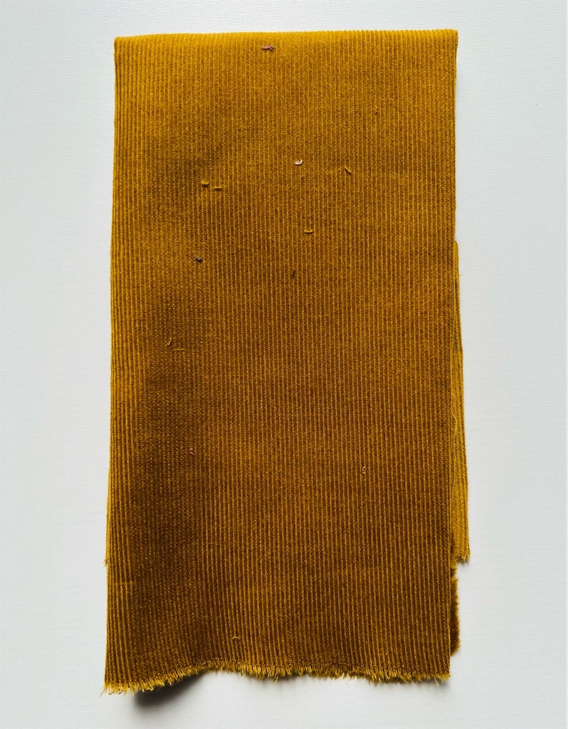 f:id:lisamori:20251006195818j:image f:id:lisamori:20251006195818j:image