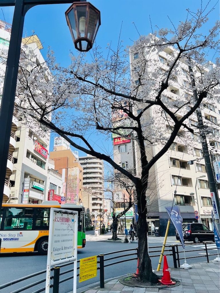 f:id:lisamori:20260406175626j:image