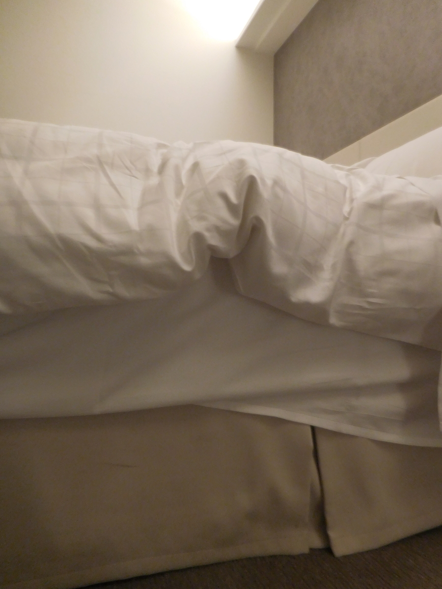 f:id:lisanha1234:20201012210737j:plain f:id:lisanha1234:20201012210737j:plain