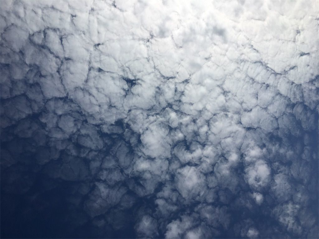 f:id:listentomybluebird:20190413003946j:image