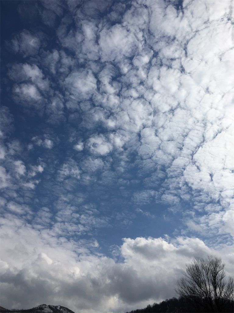 f:id:listentomybluebird:20190413010806j:image