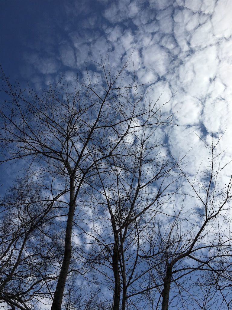 f:id:listentomybluebird:20190413085319j:image