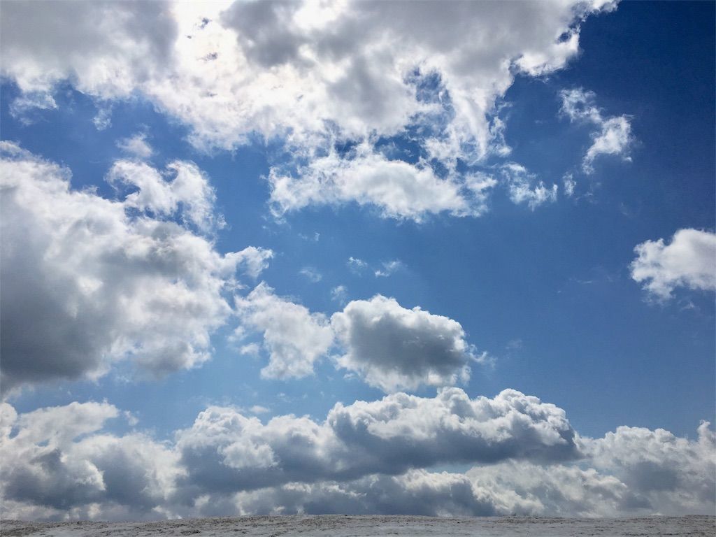 f:id:listentomybluebird:20190413124407j:image