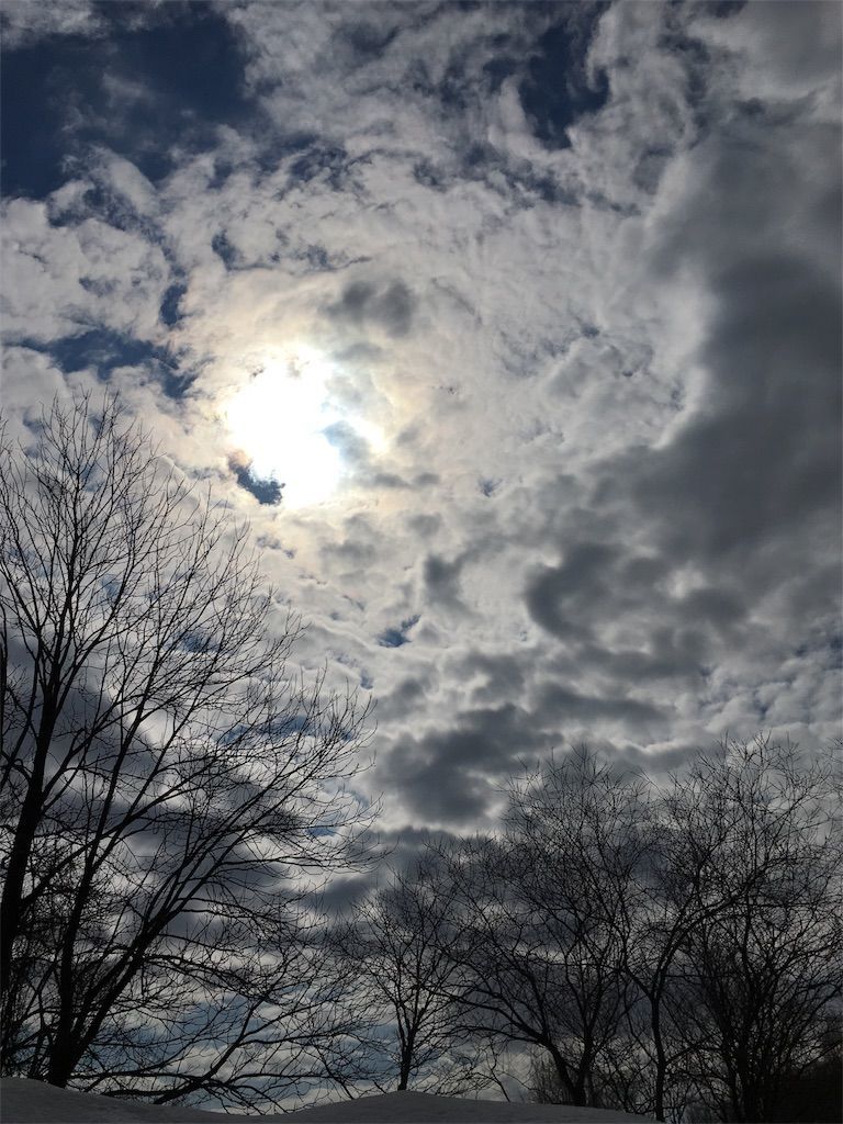 f:id:listentomybluebird:20190413165948j:image