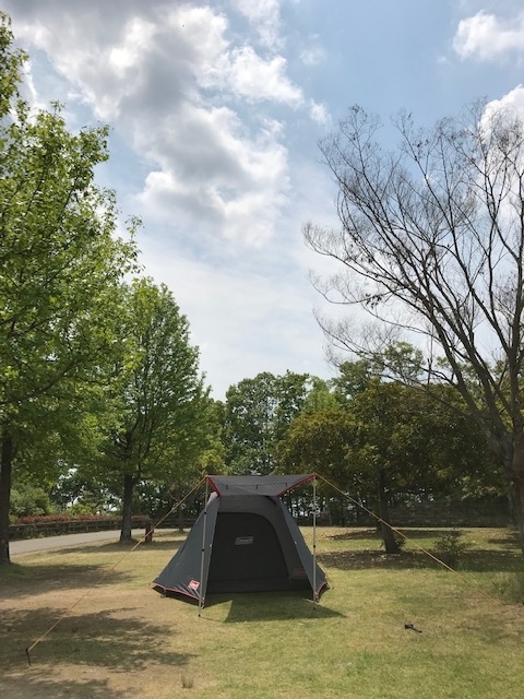 f:id:lisucco:20190514135116j:plain f:id:lisucco:20190514135116j:plain