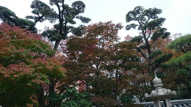 東長寺の庭園 東長寺の庭園