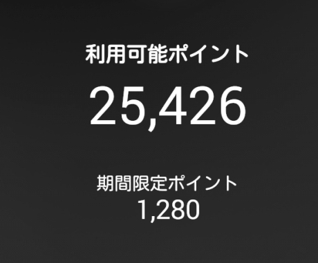 支払い後のポイント