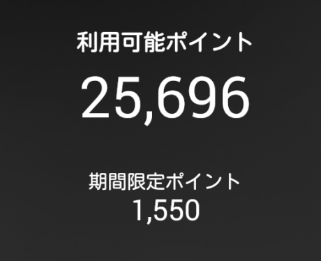 支払い前のポイント