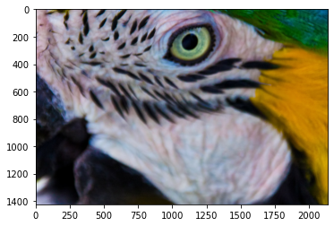 中央切り出し 50% 中央切り出し 50%