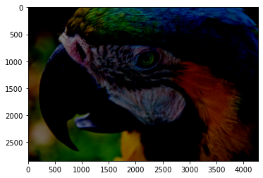 明るさ -0.5 明るさ -0.5