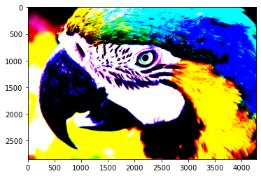 コントラスト 10 コントラスト 10