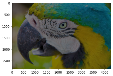 ガンマ 0.5/0.5 ガンマ 0.5/0.5