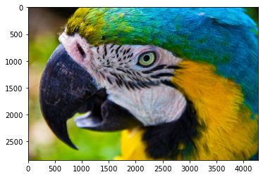 ガンマ 1/1 ガンマ 1/1