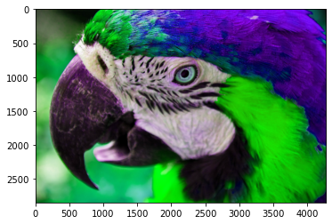 色相 0.6 色相 0.6