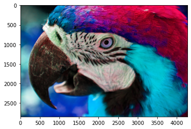 色相 0.4 色相 0.4