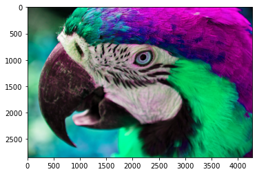 色相 0.2 色相 0.2