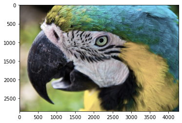 飽和 0.5 飽和 0.5