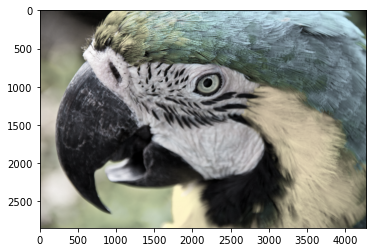 飽和 -0.5 飽和 -0.5
