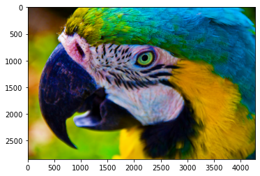 飽和 2.0 飽和 2.0