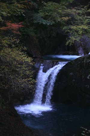 秩父産亀甲石 鑑賞石 置物 オブジェ インテリア 原石 縁起物 cd6c1d02c510206adfcbe3374a5e15