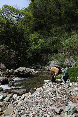 f:id:lithos:20090502122813j:image