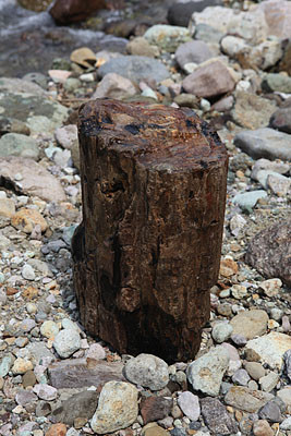 f:id:lithos:20090503095608j:image