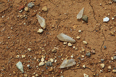 f:id:lithos:20090503120013j:image