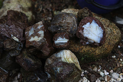 f:id:lithos:20090503142014j:image