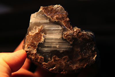 f:id:lithos:20090507222835j:image