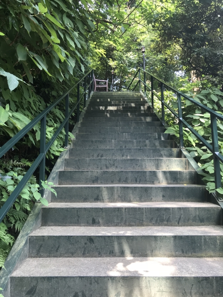 f:id:litora:20180719181522j:plain f:id:litora:20180719181522j:plain