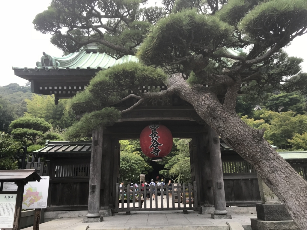 f:id:litora:20180719190522j:plain f:id:litora:20180719190522j:plain