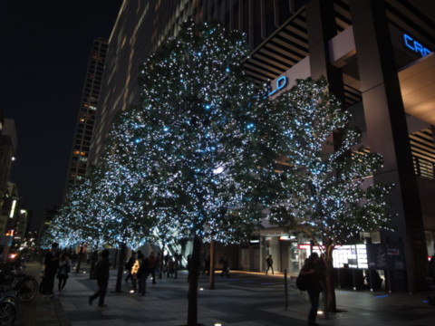 f:id:little-owl:20091123170141j:image f:id:little-owl:20091123170141j:image