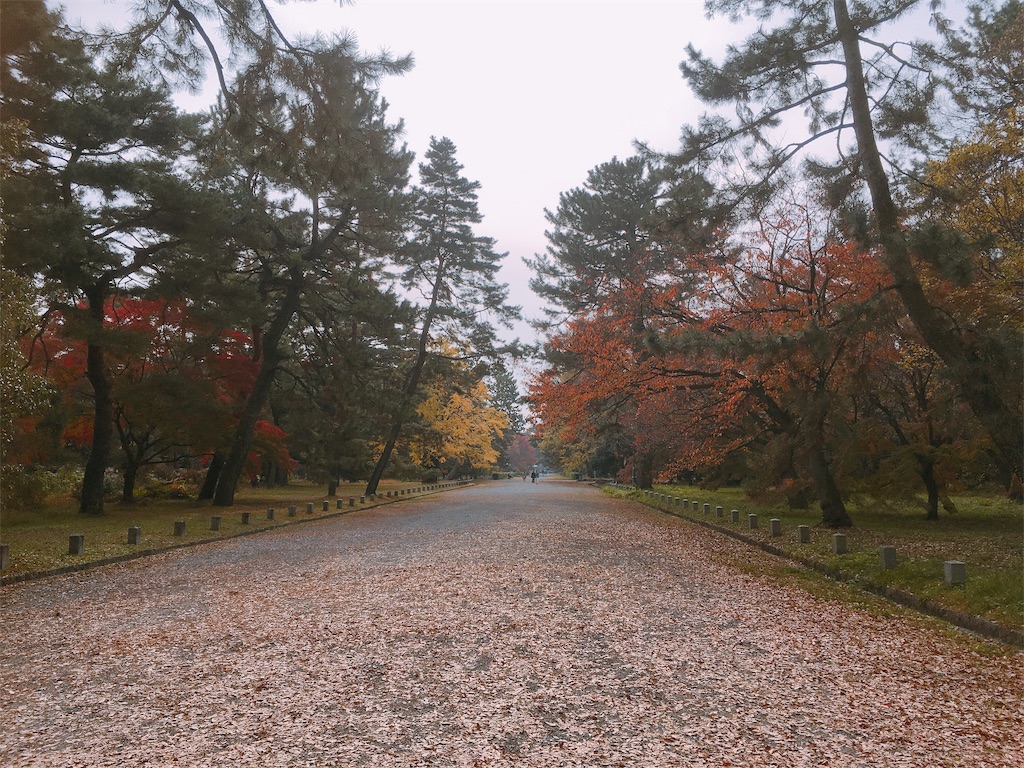 f:id:little-tale:20181127094946j:image f:id:little-tale:20181127094946j:image