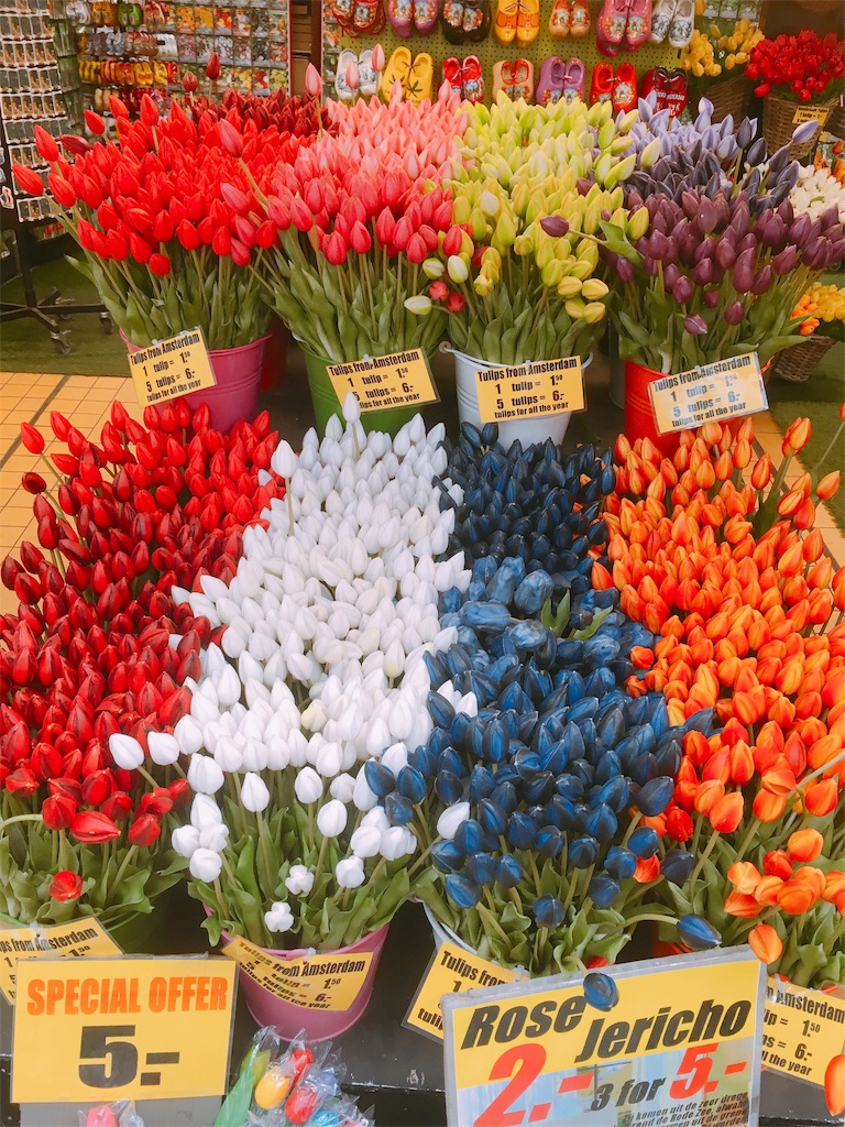 f:id:little-tale:20190307034536j:image f:id:little-tale:20190307034536j:image