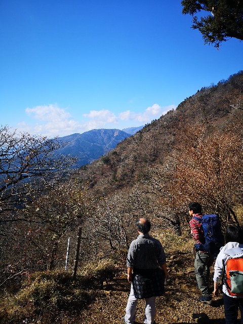 f:id:little-wasa:20181204230238j:image f:id:little-wasa:20181204230238j:image