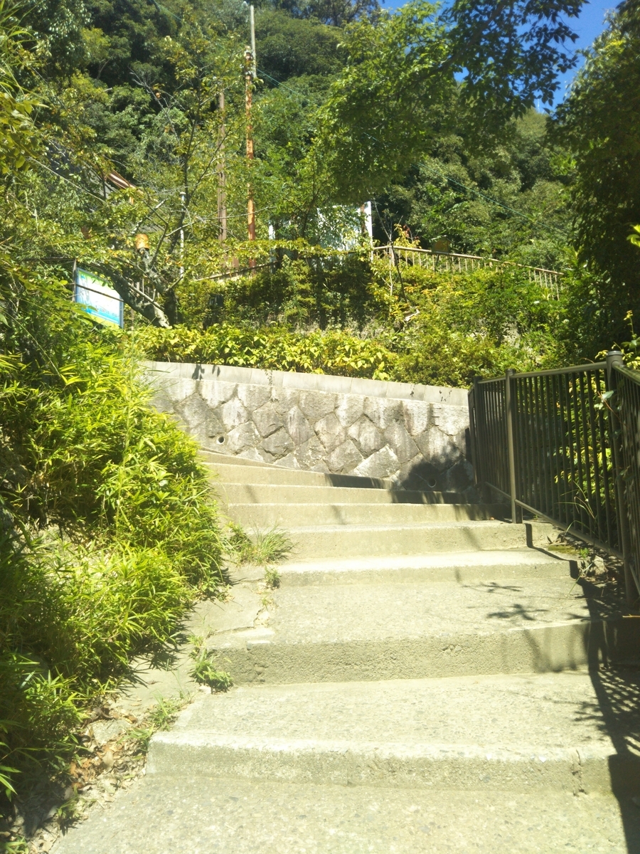 f:id:little_strange:20190915145643j:plain f:id:little_strange:20190915145643j:plain