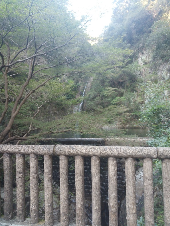 f:id:little_strange:20201025224209j:plain f:id:little_strange:20201025224209j:plain