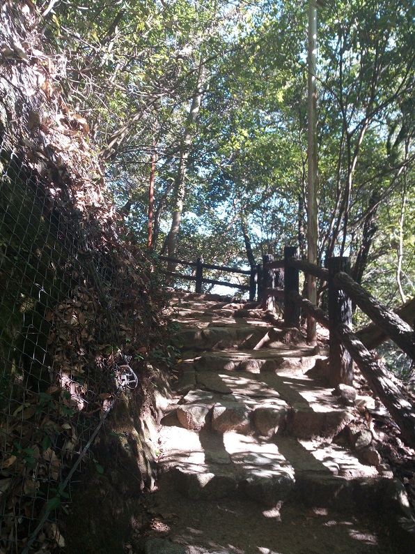 f:id:little_strange:20201025224524j:plain f:id:little_strange:20201025224524j:plain